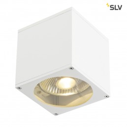 SLV 229561 Big Theo Wall Out wit wandlamp buiten